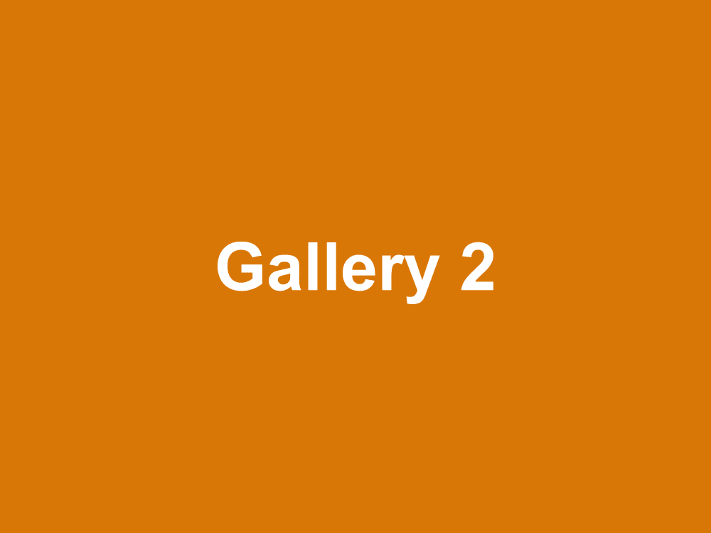 Placeholder gallery image 2