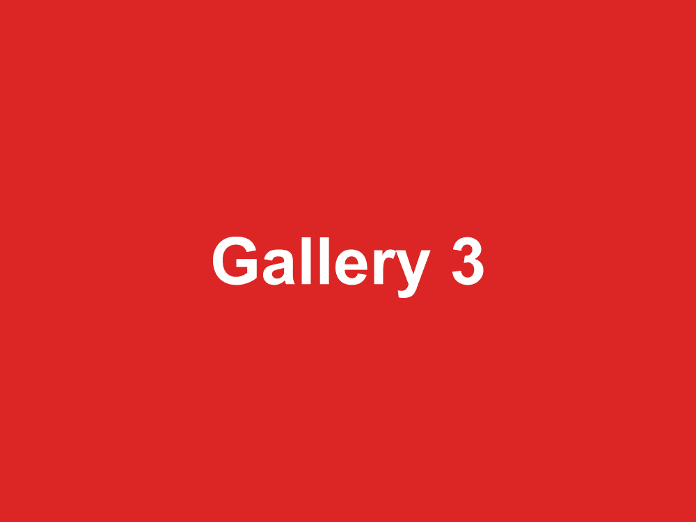 Placeholder gallery image 3