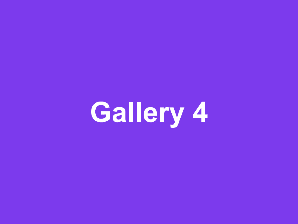 Placeholder gallery image 4