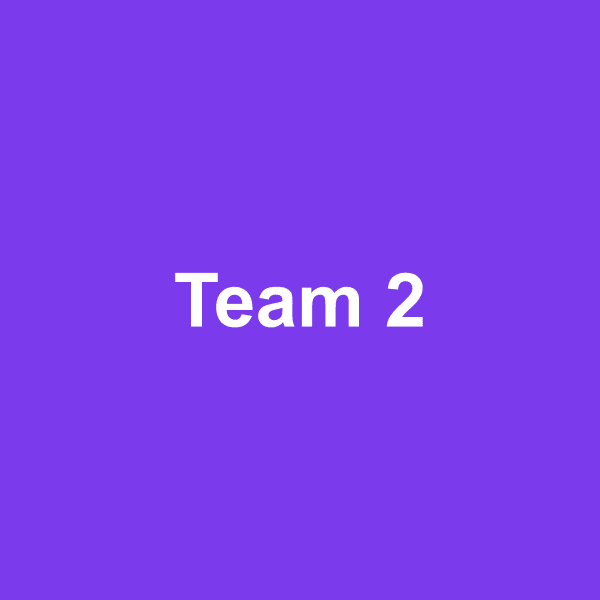 Placeholder team photo 2